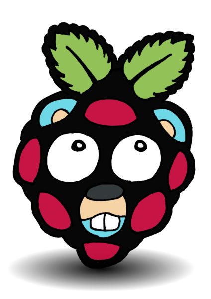 Raspberry pi gopher