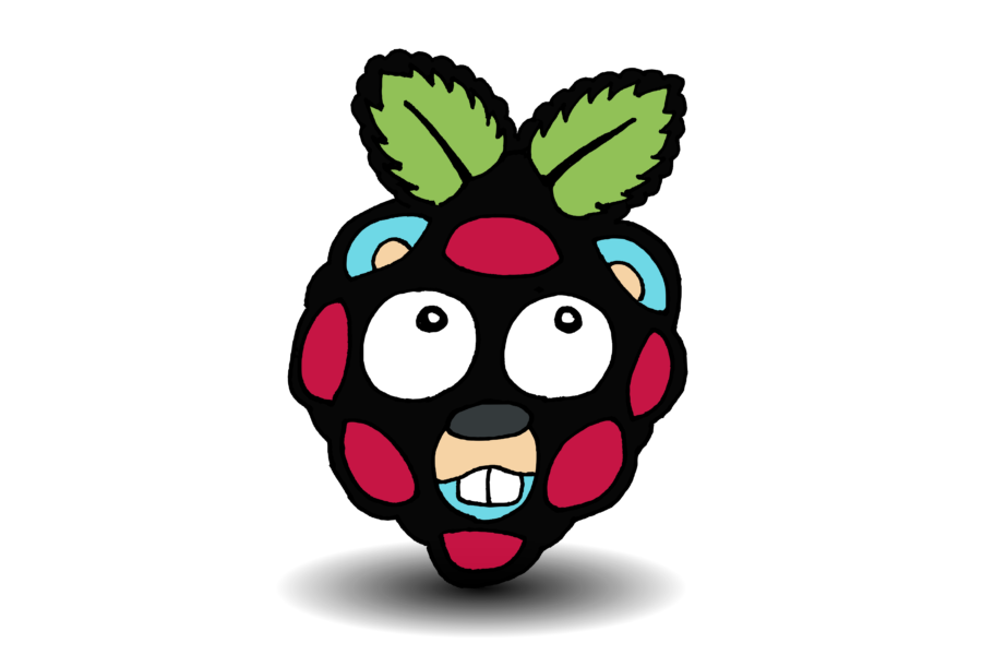 Raspberry pi gopher