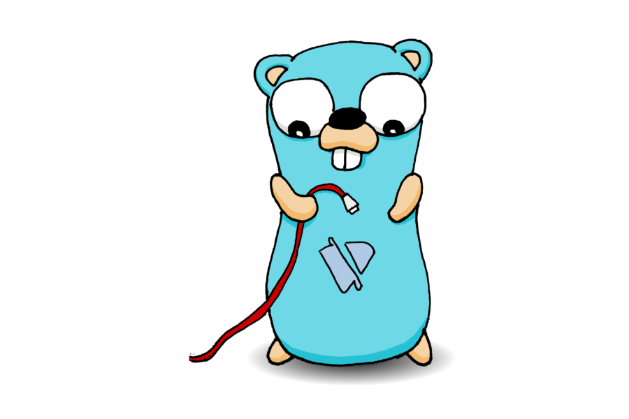 No wifi gopher